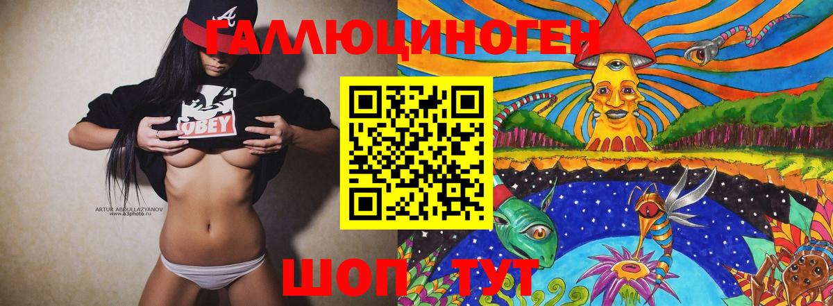 Галлюциногенные грибы Psilocybe Людиново